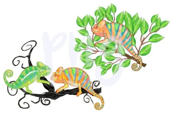 Chameleon Leaves Nature Png: Versatile Animal Art for Creators