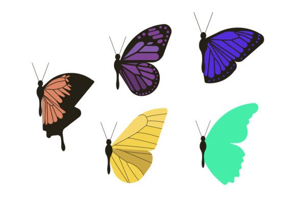 Exploring Butterfly Animal: A Modern Typeface for Creative Projects
