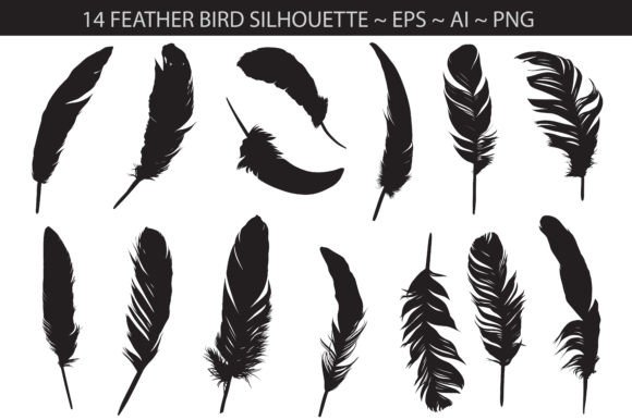 Exploring the Charm of Feather Bird Animal Clip Art Silhouette